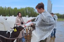 Профтуры