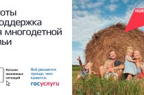 Развитие жизненных ситуаций на Госуслугах продолжилось в 2026 году