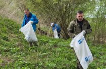 Берег реки Лужи очистили от мусора