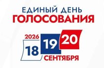 Дистанционное электронное голосование