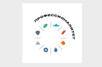Чемпионат «Профессионалы»