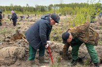 В Калужском лесничестве прошло центральное региональное мероприятие акции «Сад памяти»