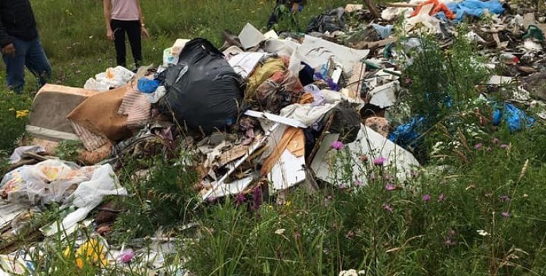 Экопатруль села Детчино на территории парка
